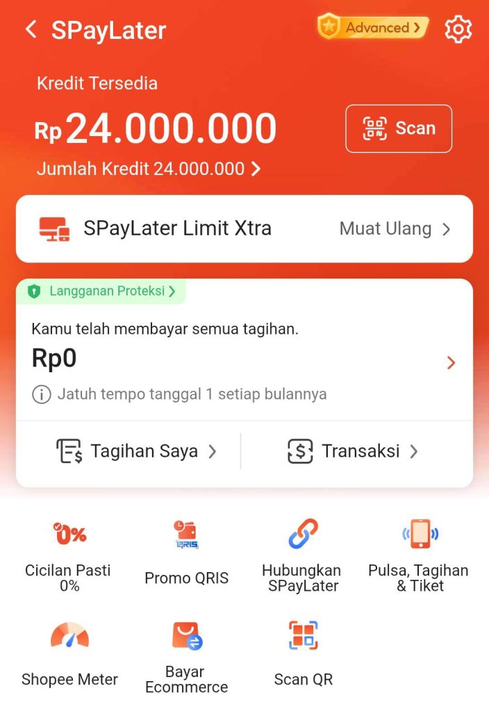 shopee paylater