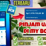 Cara Pinjam Uang di myBCA Pakai BCA Paylater Bunga 0%, Limit Besar Dan Tenor Panjang pinjam uang di bca