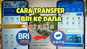 Cara Transfer Uang BRI ke DANA Lewat Brimo Mudah Dan Aman Terbaru 2026