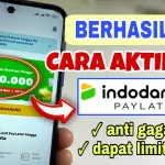 Cara Daftar Indodana PayLater dan Pinjaman Tunai, Mudah Disetujui Terbaru 2026 indodana
