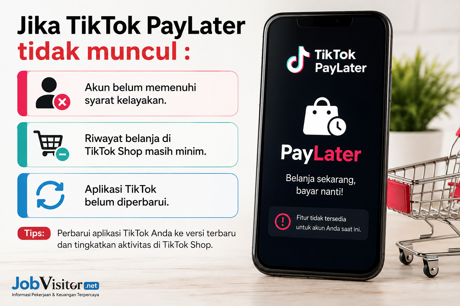 Tiktok paylater