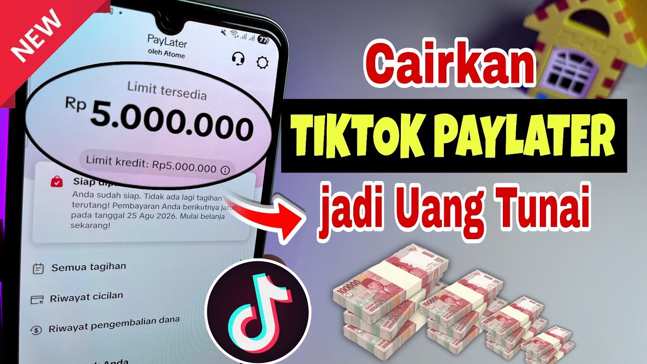 tiktok paylater
